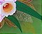 Flores em conjunto - Imagem 7