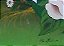 Flores em conjunto - Imagem 10