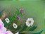 Flores em conjunto - Imagem 11