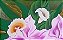 Flores em conjunto - Imagem 4