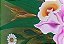 Flores em conjunto - Imagem 5