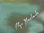 Gato - Imagem 10