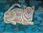 Gato - Imagem 1