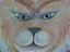Gato - Imagem 6