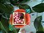Brigadeiro 01 - Imagem 1