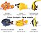 Miniaturas e flashcards de peixes de aquário - água doce/salgada - Imagem 4