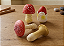 Miniaturas e flashcards Ciclo de vida fungos/cogumelos - Imagem 1