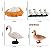 Miniaturas e flashcards Ciclo de vida aves - Imagem 3