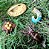 Miniaturas e flashcards Ciclo de vida insetos, anelídeos e aracnídeos - Imagem 9