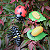 Miniaturas e flashcards Ciclo de vida insetos, anelídeos e aracnídeos - Imagem 5