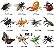 Miniaturas e flashcards insetos e pequenos animais do jardim - Imagem 7