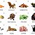 Flashcards Animais e sua alimentação - Imagem 1
