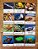 Miniaturas e flashcards de peixes e outros animais marinhos - oceanos - Imagem 7