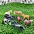 Miniaturas e flashcards Cavalos - Imagem 1