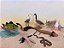 Miniaturas e Flashcards Animais dos Grandes Lagos da América do Norte - Imagem 1