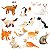 Miniaturas e flashcards Pets - cães e gatos - Imagem 9
