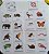 Pacote flashcards Vida & Natureza - arquivos digitais pdf - Imagem 4