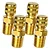 UNIAO SCHRAIDER 1/4 SAE X 1/4 NPT COM NUCLEO - Imagem 1