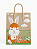 Sacola Decorada Feliz Páscoa Coelho e Cenoura 20x15x25cm C/10 UN | LC - Imagem 1