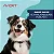 Avert Serenlac Para Cães 225 Mg 30 Comprimidos AVERT SAÚDE ANIMAL - Imagem 5