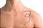 Curativo Transparente 15Cmx10M - Vitalderme - Imagem 2