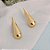 Brinco Gota Orgânico Liso - Banhado a Ouro 18k - Imagem 1