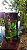 Qimmah For Women - Lattafa EDP 100ml - Imagem 2