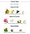 Deciduous Spring - Aurora Scents EDP 100ml - Imagem 5