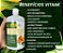 SUCO DA BABOSA SUPLEMENTO ALIMENTAR VITA AK AKMOS 01 LITRO - Imagem 3