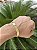Bracelete Liso - Banhado a ouro - Imagem 1