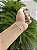 Pulseira Grumet Dupla 3,5mm 21cm - Prata 925 - Imagem 7