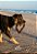 CRUSH (PELE BOVINA FORMATO CORACAO) - Imagem 2