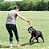 BOLA ROPE Fetch Chuck It Resistente para cães - Imagem 2
