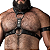 Harness Couro Legítimo Gladiador Mr Leather - Imagem 1