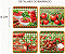 Tecido Tricoline DIgital Barrado Pomodoro 55x150 cm Fernando Maluhy Estampa de Tomates e Culinária - Imagem 5