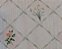 Tecido Tricoline Digiital Fernando Maluhy com Estampa Floral 50 x 150 cm - Imagem 10