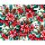 Tecido Tricoline Digital Natal Fernando Maluhy Bico de Papagaio e Pinhas 50 x 150 cm, 100% Algodão - Imagem 6