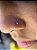 Piercing Nostril Ponto de Luz Titânio Cravejado Zircônia - Imagem 4