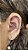 Piercing Argola Zircônias Cravejadas Titânio - Imagem 2
