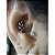Piercing Folha Ramos Titânio Labret Hélix Flat Scapha Zircônia - Imagem 6