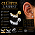 Piercing Cluster Labret Aço Cirúrgico Hélix Trágus Conch Flat Lóbulo Rosca Interna Prata Dourado - Imagem 1