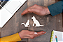 Seguro PET - Imagem 1