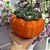Tigela Cerâmica Mini Moranga Abóbora 800ml - Laranja - Imagem 4