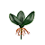 Haste Folha Orquidea 15cm - Imagem 1