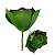 Suculenta 12cm - Imagem 1