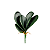 Haste Folha Orquidea 30cm - Imagem 1