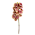 Haste Orquídea Phalaenopsis 3D X6 - Amarelo com Rosa - Imagem 1