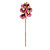 Haste Orquídea Phalaenopsis 3D X6 - Pink com Amarelo - Imagem 1