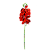 Haste Orquídea 60cm - Imagem 2