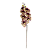 Haste Orquídea 70cm - Amarelo com Bordo - Imagem 1